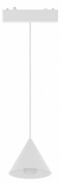 Подвесной светильник Aployt Magnetic track 48 APL.0122.10.06 в Тюмени - tumen.ok-mebel.com | фото 2