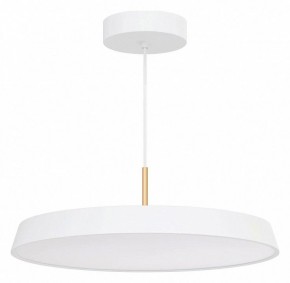 Подвесной светильник Arlight ELEGANT 033925(1) в Тюмени - tumen.ok-mebel.com | фото 2