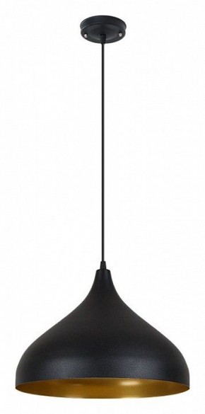 Подвесной светильник Arte Lamp Carmel A7076SP-1BK в Тюмени - tumen.ok-mebel.com | фото 2