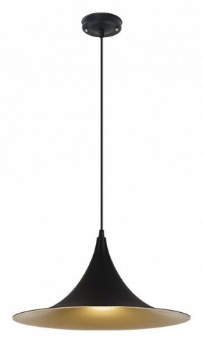 Подвесной светильник Arte Lamp Carmel A7080SP-1BK в Тюмени - tumen.ok-mebel.com | фото 2