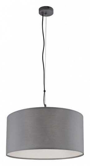 Подвесной светильник Arte Lamp Coppa A4095SP-3GY в Тюмени - tumen.ok-mebel.com | фото 2