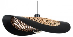 Подвесной светильник Arte Lamp Woodstock A7059SP-1BK в Тюмени - tumen.ok-mebel.com | фото