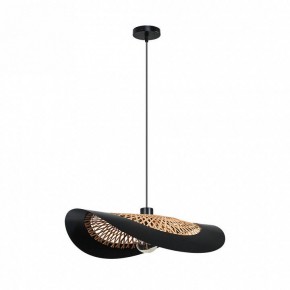 Подвесной светильник Arte Lamp Woodstock A7059SP-1BK в Тюмени - tumen.ok-mebel.com | фото 2