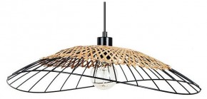 Подвесной светильник Arte Lamp Woodstock A7061SP-1BK в Тюмени - tumen.ok-mebel.com | фото