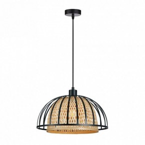 Подвесной светильник Arte Lamp Woodstock A7071SP-1BK в Тюмени - tumen.ok-mebel.com | фото