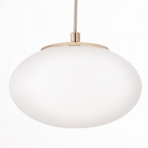 Подвесной светильник Citilux Atman Smart CL226A053 в Тюмени - tumen.ok-mebel.com | фото 10