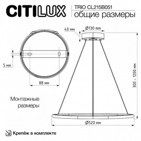 Подвесной светильник Citilux Trio CL215B051 в Тюмени - tumen.ok-mebel.com | фото 8