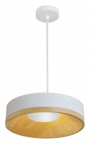 Подвесной светильник Divinare Vaso 5119/33 SP-8 в Тюмени - tumen.ok-mebel.com | фото 2