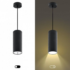 Подвесной светильник Эра  PL12 GX53 BK/SL в Тюмени - tumen.ok-mebel.com | фото 5