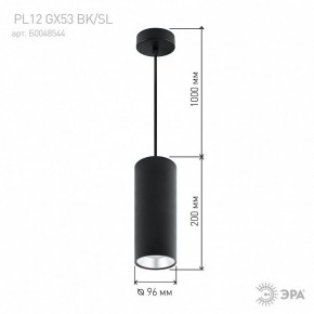 Подвесной светильник Эра  PL12 GX53 BK/SL в Тюмени - tumen.ok-mebel.com | фото 8
