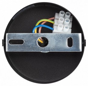 Подвесной светильник Эра  PL12 GX53 BK/SL в Тюмени - tumen.ok-mebel.com | фото 9