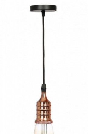 Подвесной светильник Эра PL13 Б0048525 в Тюмени - tumen.ok-mebel.com | фото 3