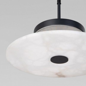 Подвесной светильник Eurosvet Thasos 40342 LED черный в Тюмени - tumen.ok-mebel.com | фото 8