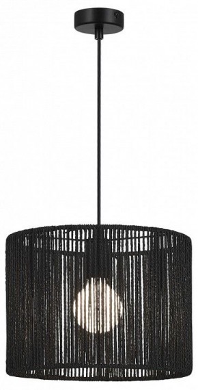 Подвесной светильник EVOLUCE ETTAN SLE6024-403-01 в Тюмени - tumen.ok-mebel.com | фото 2