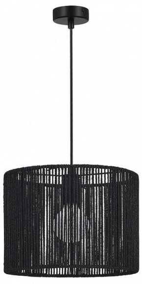 Подвесной светильник EVOLUCE ETTAN SLE6024-403-01 в Тюмени - tumen.ok-mebel.com | фото 4