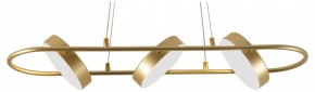 Подвесной светильник F-promo Abris 4677-3P в Тюмени - tumen.ok-mebel.com | фото