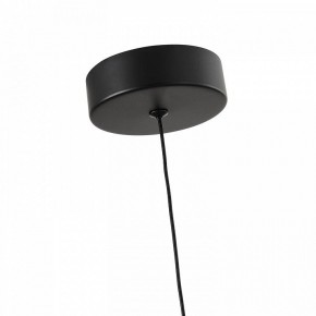 Подвесной светильник Favourite Cattivo 4452-1P в Тюмени - tumen.ok-mebel.com | фото 7