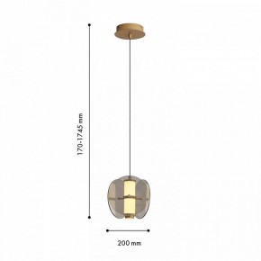 Подвесной светильник Favourite Fada 4625-1P в Тюмени - tumen.ok-mebel.com | фото 5