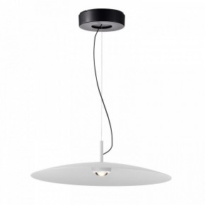 Подвесной светильник Favourite Lars 4410-2P в Тюмени - tumen.ok-mebel.com | фото 2