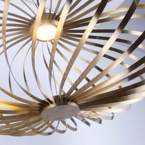 Подвесной светильник Favourite Spring 4680-1P в Тюмени - tumen.ok-mebel.com | фото 5