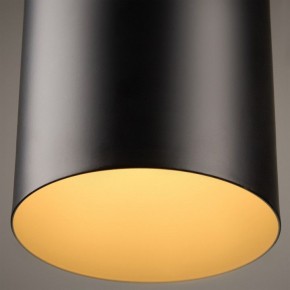 Подвесной светильник Freya Achillea FR5400PL-01B в Тюмени - tumen.ok-mebel.com | фото 9
