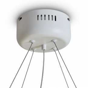 Подвесной светильник Freya Rain FR5546PL-L60W в Тюмени - tumen.ok-mebel.com | фото 9