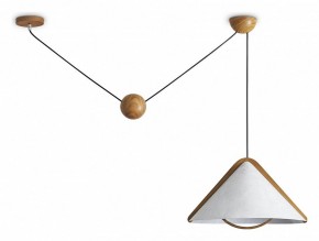 Подвесной светильник Freya Umbra FR5554CL-01T в Тюмени - tumen.ok-mebel.com | фото