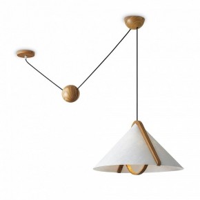 Подвесной светильник Freya Umbra FR5554CL-01T в Тюмени - tumen.ok-mebel.com | фото 2