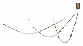 Подвесной светильник Indigo Corda 14010/3P Brass в Тюмени - tumen.ok-mebel.com | фото 2