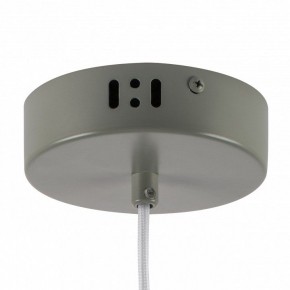 Подвесной светильник Lightstar Erbareo 799019 в Тюмени - tumen.ok-mebel.com | фото 5