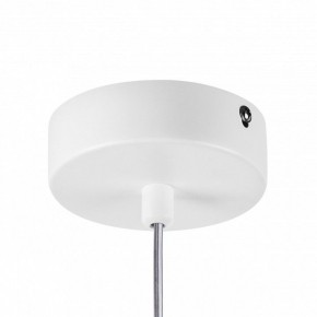 Подвесной светильник Lightstar Rocco 793116 в Тюмени - tumen.ok-mebel.com | фото 10