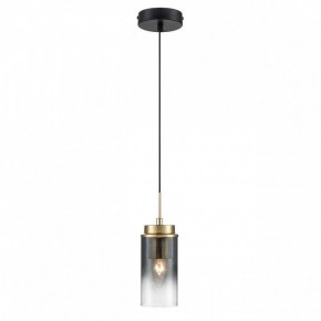 Подвесной светильник Lumion Isha 8101/1A в Тюмени - tumen.ok-mebel.com | фото 2