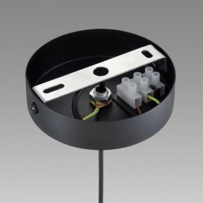 Подвесной светильник Lumion Isha 8101/1A в Тюмени - tumen.ok-mebel.com | фото 6