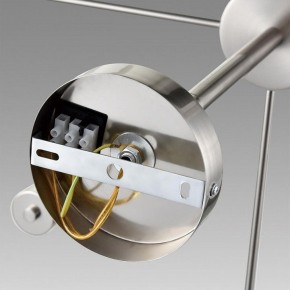 Подвесной светильник Lumion Mave 8099/8C в Тюмени - tumen.ok-mebel.com | фото 6
