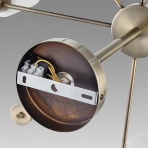 Подвесной светильник Lumion Mave 8100/12C в Тюмени - tumen.ok-mebel.com | фото 6