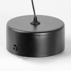 Подвесной светильник Lussole Blount LSP-7356 в Тюмени - tumen.ok-mebel.com | фото 6