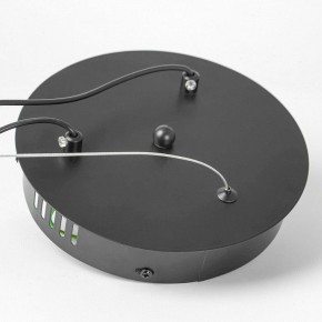 Подвесной светильник Lussole Bradford LSP-7160 в Тюмени - tumen.ok-mebel.com | фото 7