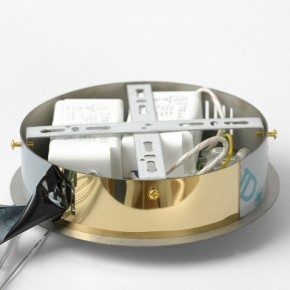 Подвесной светильник Lussole Citrus LSP-7158 в Тюмени - tumen.ok-mebel.com | фото 6
