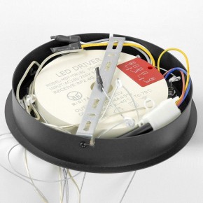 Подвесной светильник Lussole Hale LSP-7380 в Тюмени - tumen.ok-mebel.com | фото 6