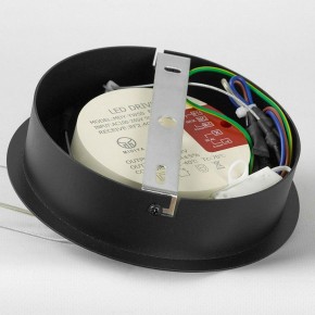 Подвесной светильник Lussole Hale LSP-7381 в Тюмени - tumen.ok-mebel.com | фото 6