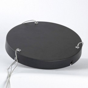 Подвесной светильник Lussole HARDIN LSP-7427 в Тюмени - tumen.ok-mebel.com | фото 4