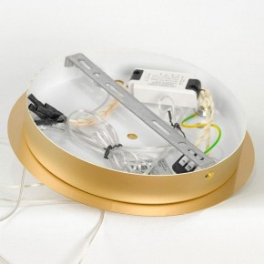 Подвесной светильник Lussole Hopkins LSP-7400 в Тюмени - tumen.ok-mebel.com | фото 5