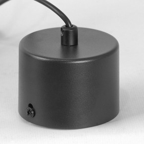 Подвесной светильник Lussole Milam LSP-7450 в Тюмени - tumen.ok-mebel.com | фото 7