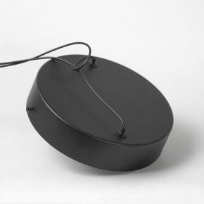 Подвесной светильник Lussole Mitchell LSP-7308 в Тюмени - tumen.ok-mebel.com | фото 5