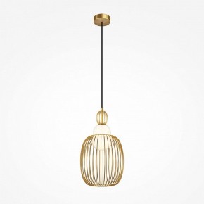 Подвесной светильник Maytoni Levitation MOD376PL-01G1 в Тюмени - tumen.ok-mebel.com | фото 2