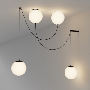 Подвесной светильник Maytoni Twins MOD427PL-L20B3K1 в Тюмени - tumen.ok-mebel.com | фото 4