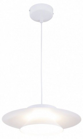 Подвесной светильник Moderli Chester V11110-PL в Тюмени - tumen.ok-mebel.com | фото 2