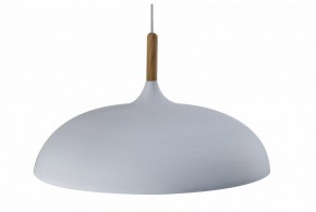 Подвесной светильник Moderli Hygo V11447-1P в Тюмени - tumen.ok-mebel.com | фото