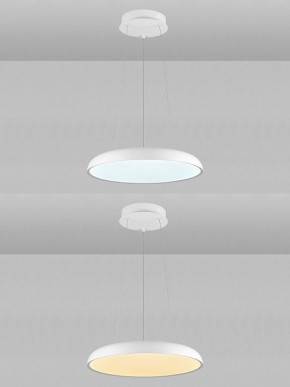 Подвесной светильник Natali Kovaltseva  INNOVATION STYLE 83137 в Тюмени - tumen.ok-mebel.com | фото 5
