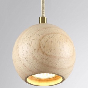 Подвесной светильник Odeon Light Caucho 7061/1 в Тюмени - tumen.ok-mebel.com | фото 2
